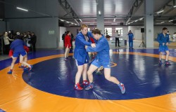 В Волгоградской области создан Центр спортивных единоборств
